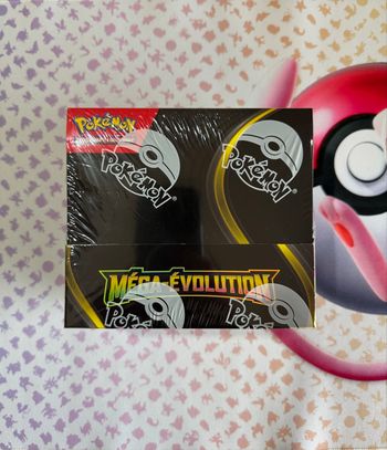 Pokémon Display Méga Évolution *Défaut de scellé*
