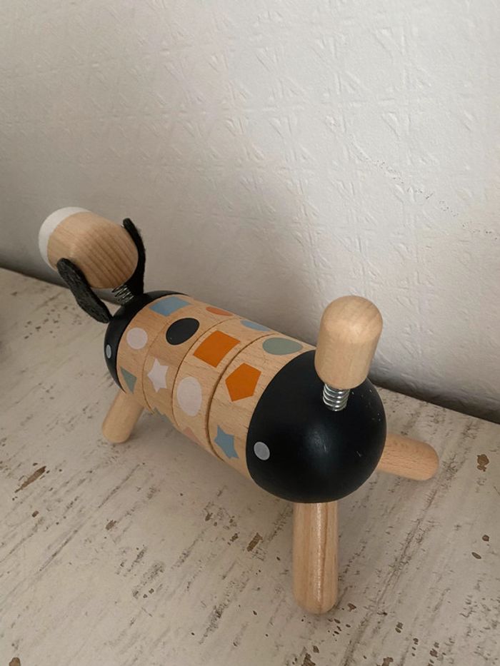 Chien Janod - photo numéro 5