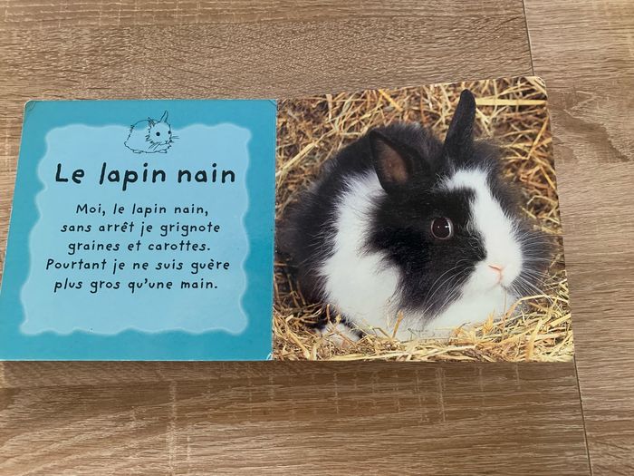 Les animinis à la maison - photo numéro 7