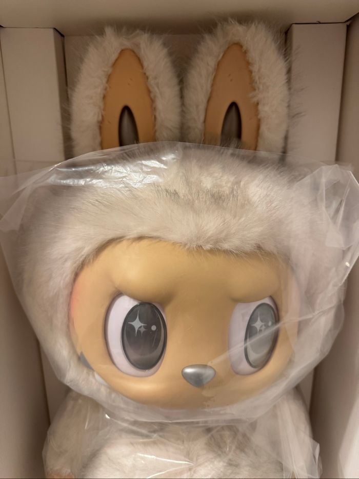 zimomo - photo numéro 2