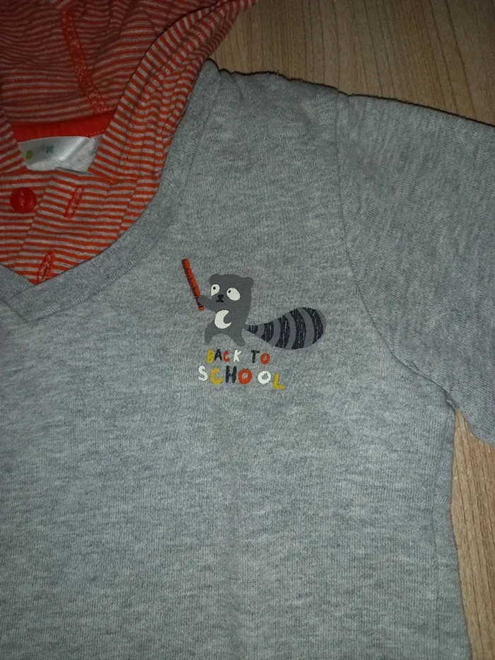 Sweat à capuche - photo numéro 2