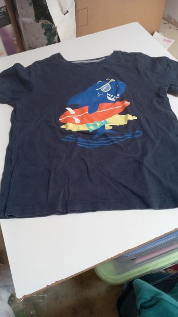 Tee short requin bleu