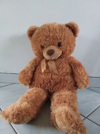 Peluche ours