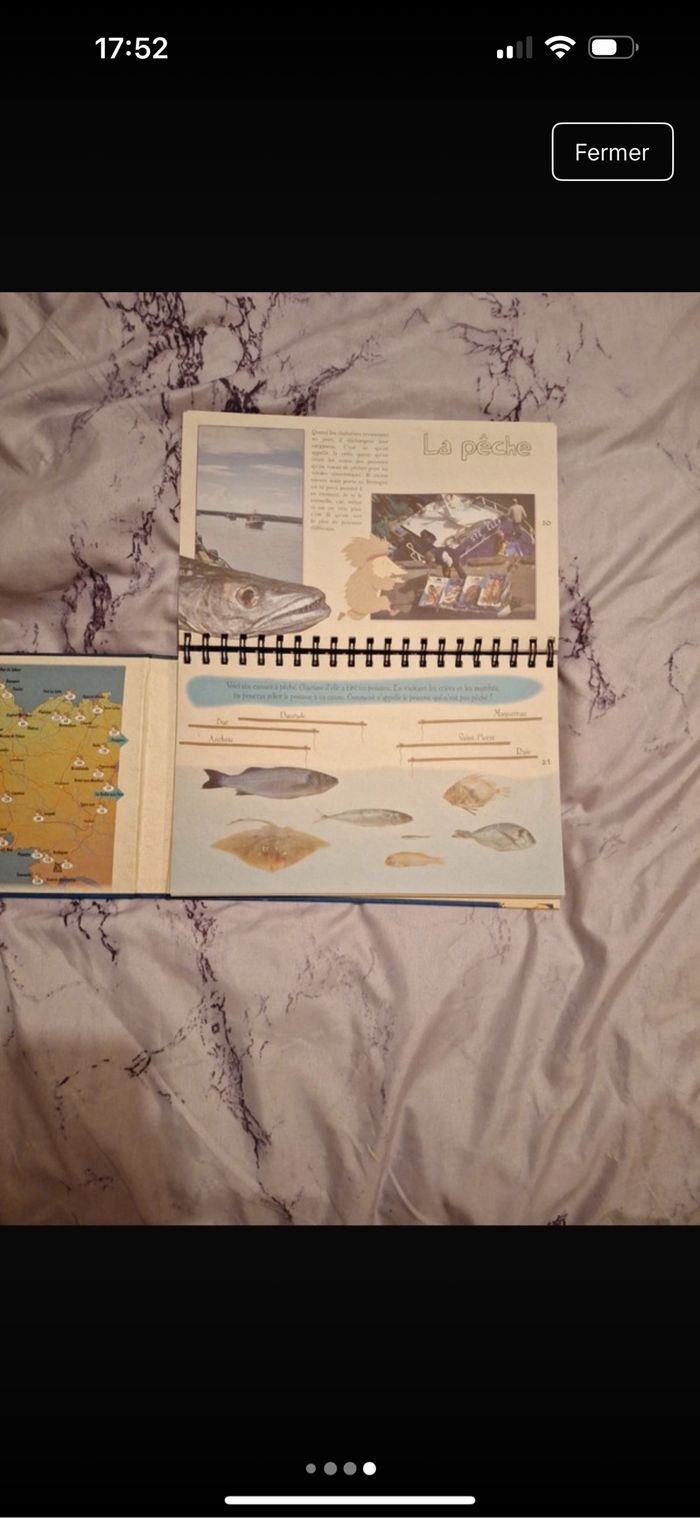 Livre - photo numéro 4
