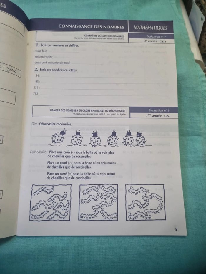Math cycle 2 - photo numéro 4