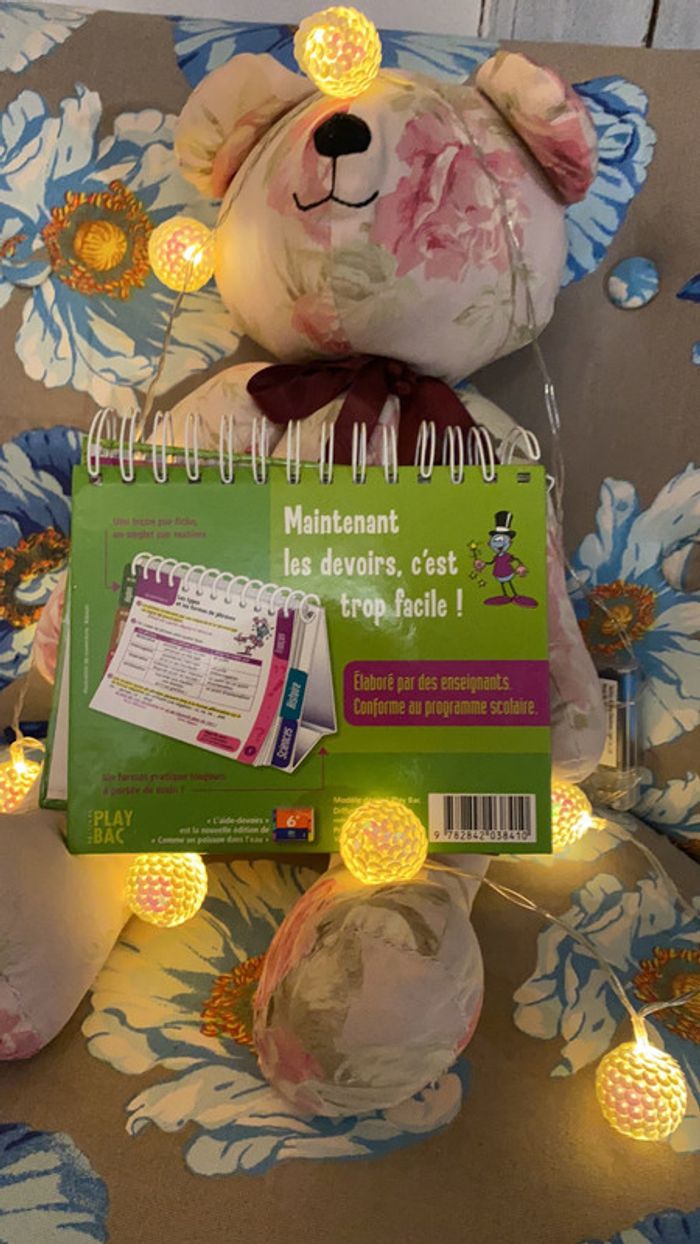 Aide aux devoirs - photo numéro 3