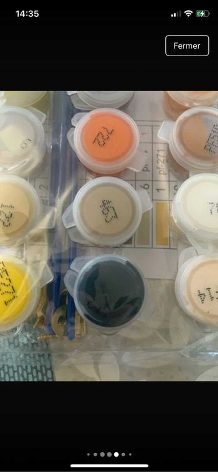 Kit complet de peinture par numéro - Neuf - photo numéro 6