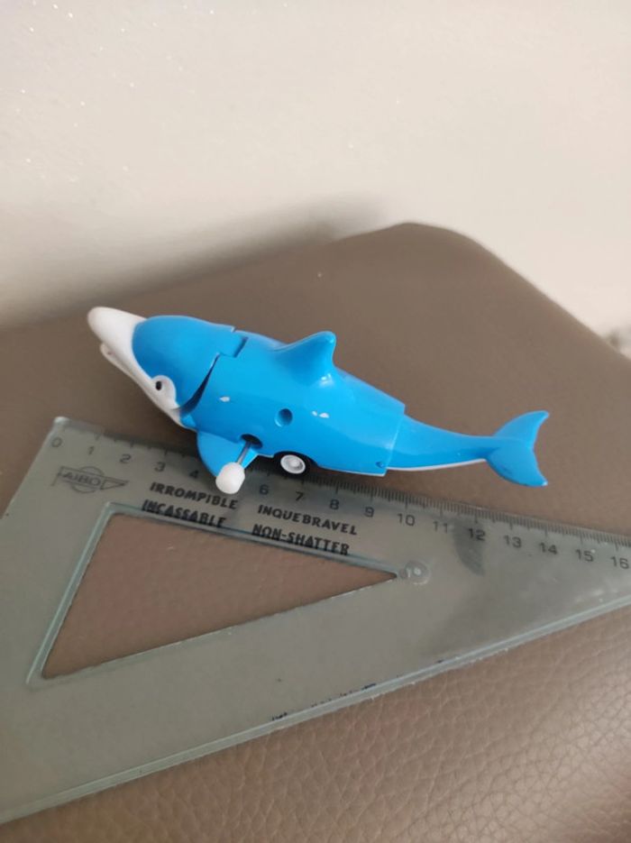 wind up dauphin - photo numéro 2