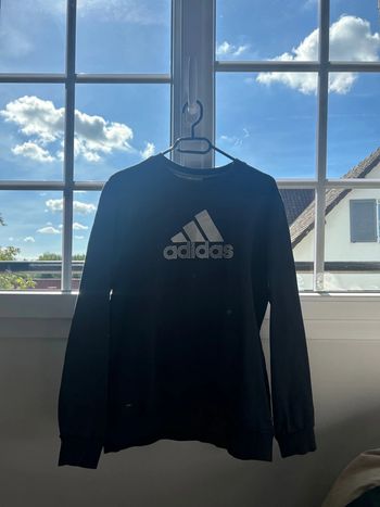 sweat adidas