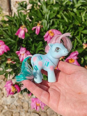 Petit poney baby brother loving family - sweet célébration