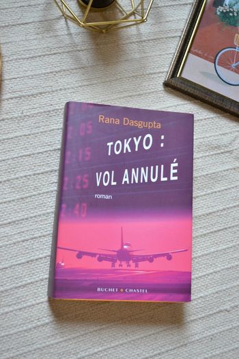 Livre Rana Dasgupta " Tokyo : Vol annulé "