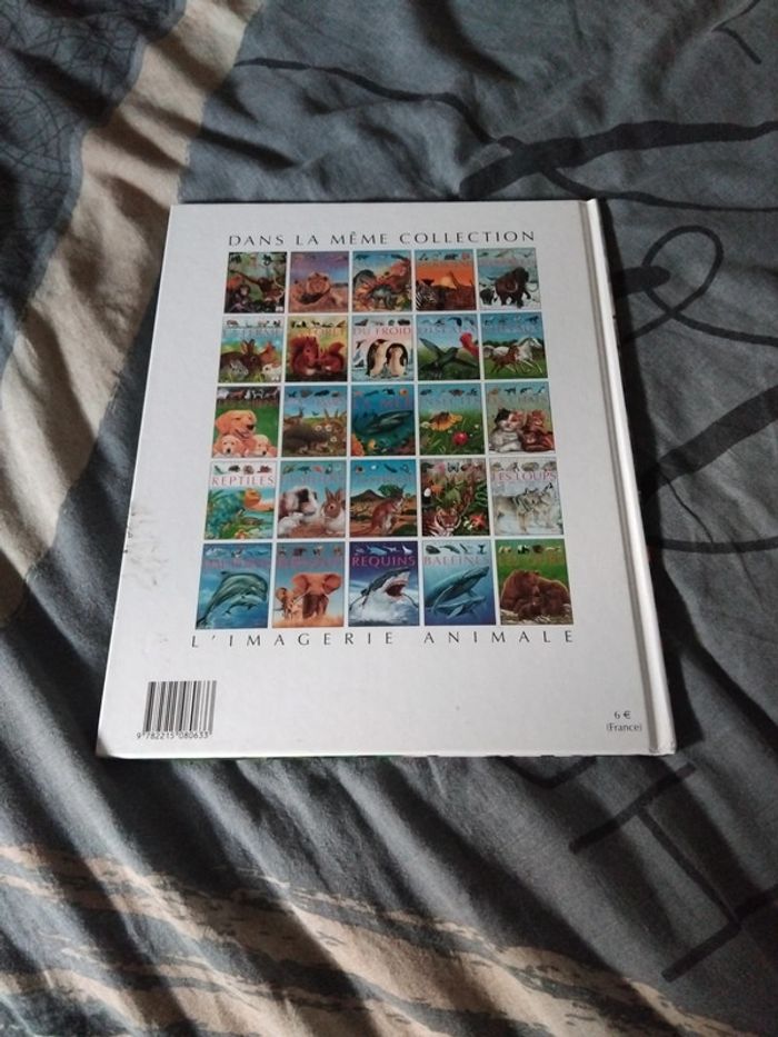Livre les animaux de la jungle - photo numéro 2