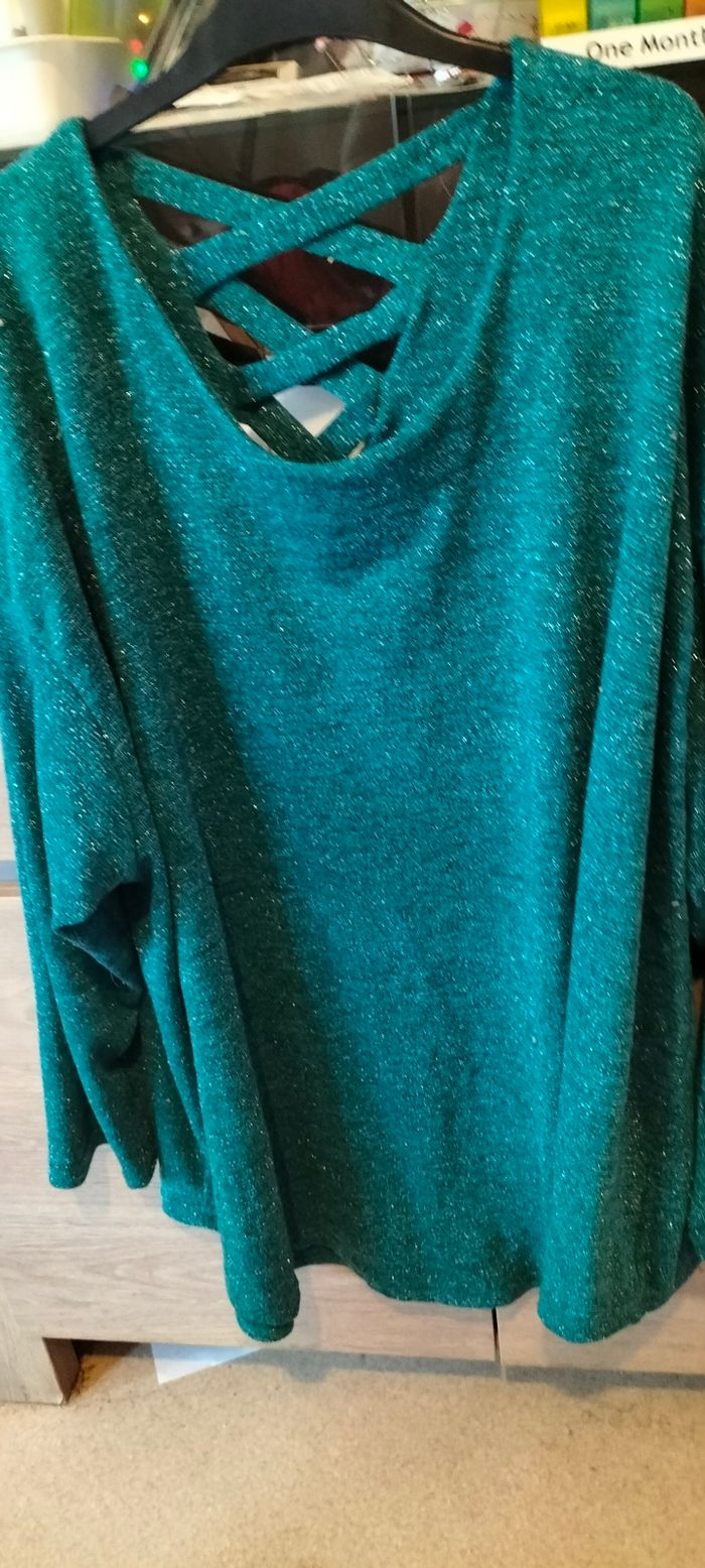 Pull grande taille - photo numéro 3