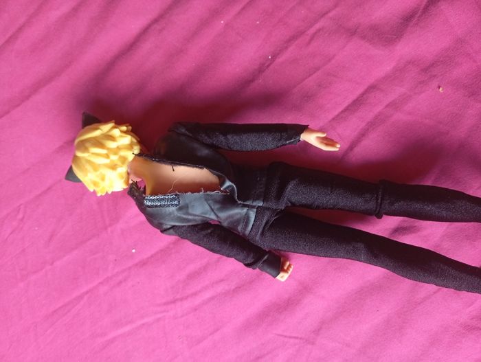 Barbie miraculous Adrien chat noir - photo numéro 3