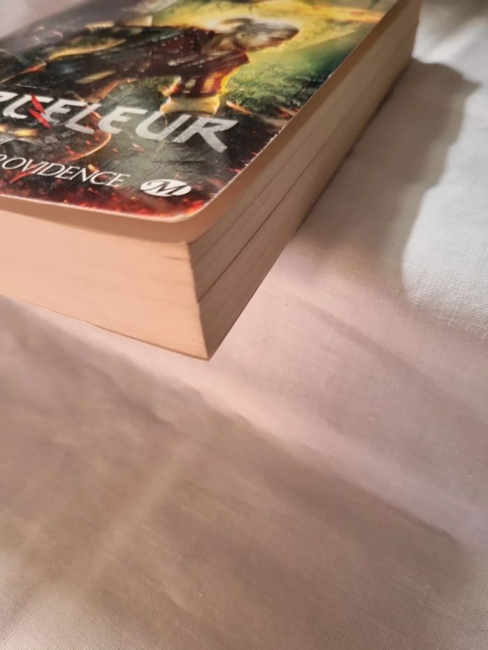 Sorceleur tome 2 - photo numéro 5