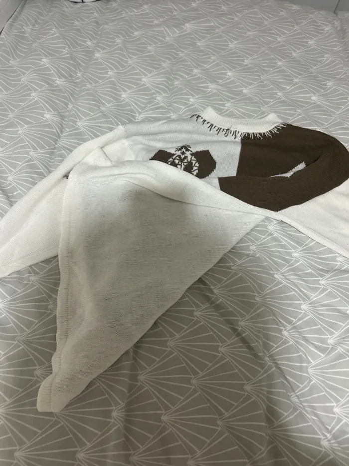 Pull aesthetic - photo numéro 4