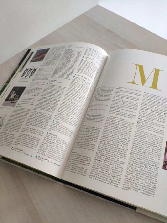 Livre le cheval Dictionnaire encyclopédique Toundra pml éditions - photo numéro 6