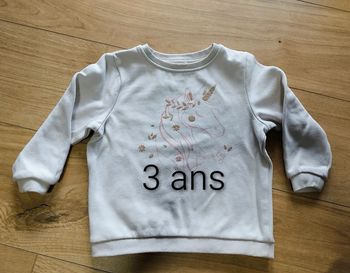 Pull licorne