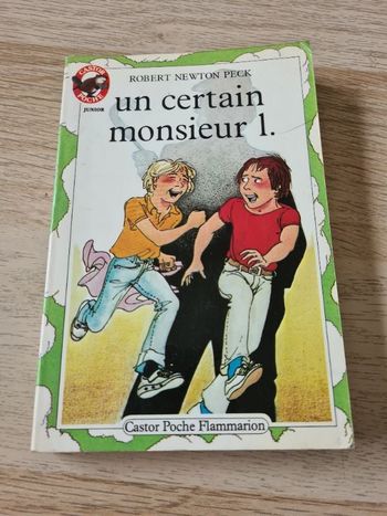 Livre Un certain monsieur L.