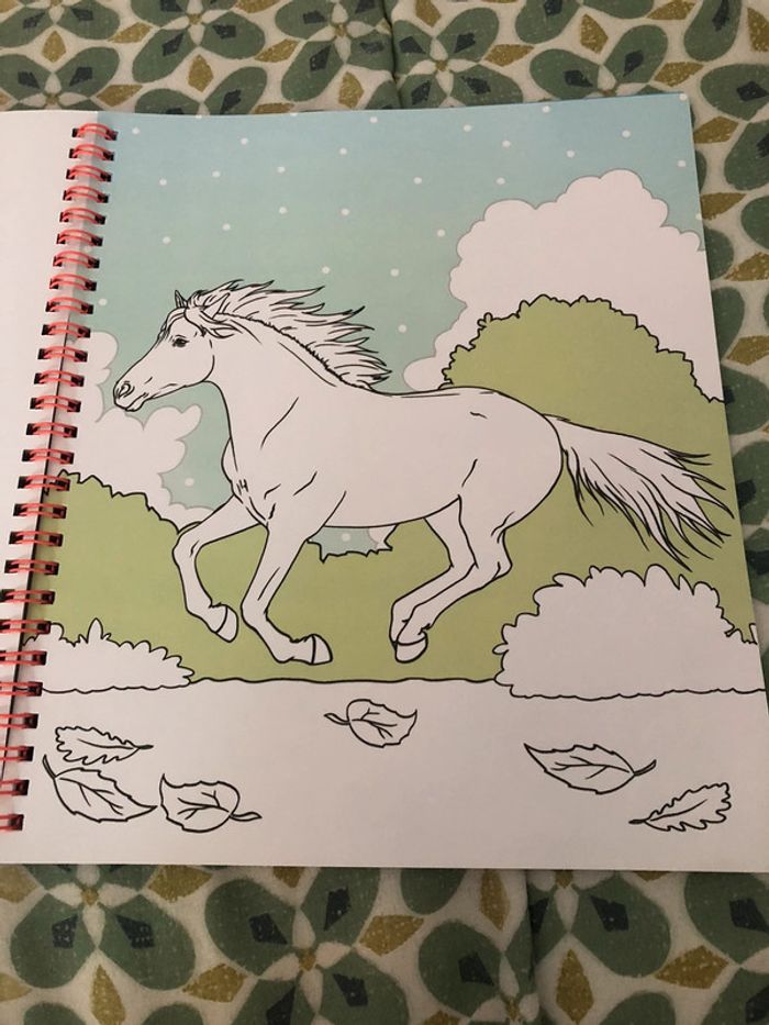 Livre de coloriage miss Mélody - photo numéro 15