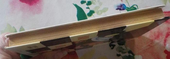 Fantômette chez le roi Bibliothèque Rose 1978 - photo numéro 4