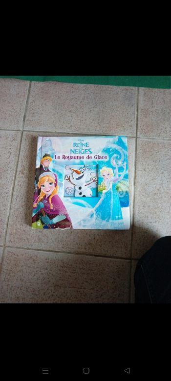 La reine des neiges le royaume  de glace