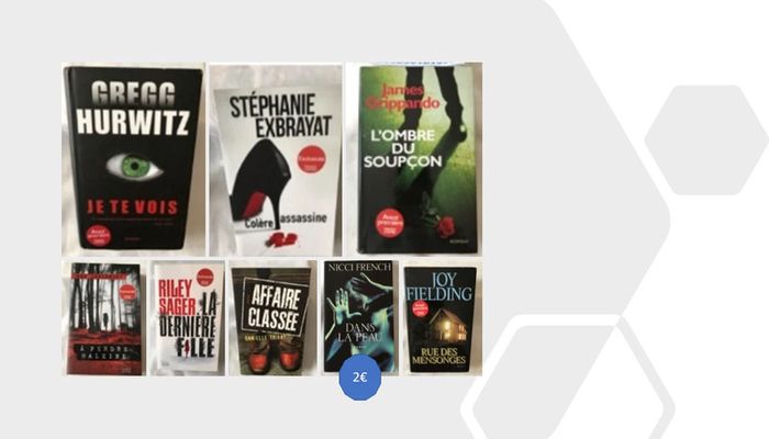 Livres Thrillers et Polars - photo numéro 5