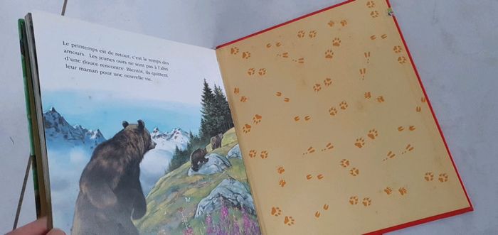 Livre Bébés animaux en balade lya2 - photo numéro 6