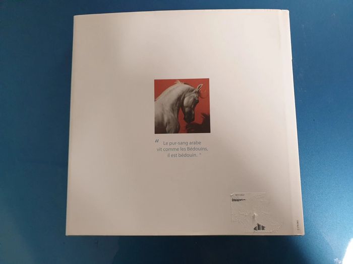 Superbe livre chevaux - photo numéro 2