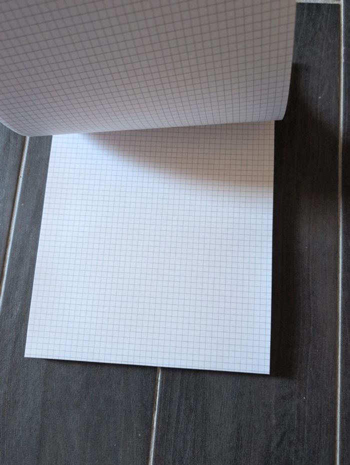 Bloc noté conquérant neuf . 21 x 29,7. 100 feuilles - photo numéro 2