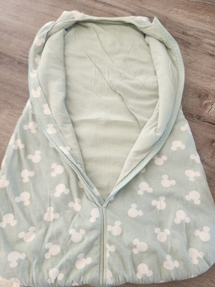 Gigoteuse disney - photo numéro 3