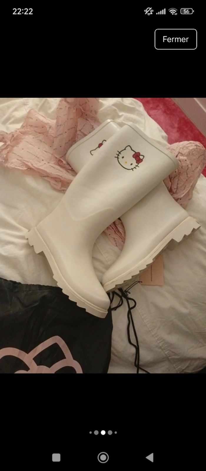 Bottes - photo numéro 2