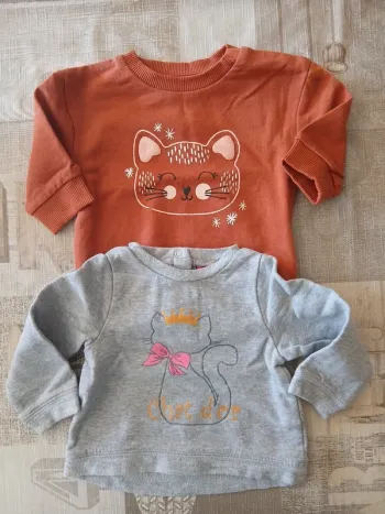 Lot de 2 sweats