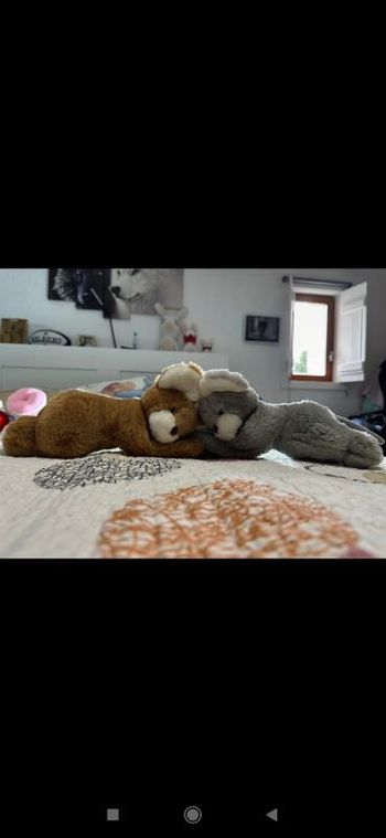 Peluche