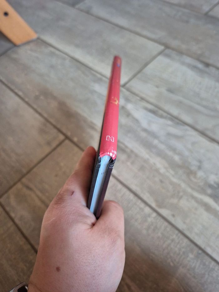 Livre roi lion - photo numéro 4