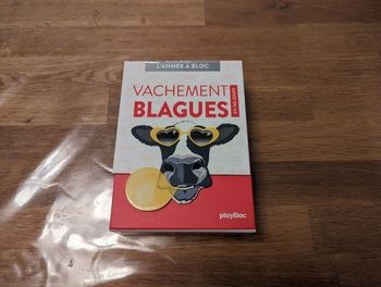 Vachement blagues en 365 jours
Playbac