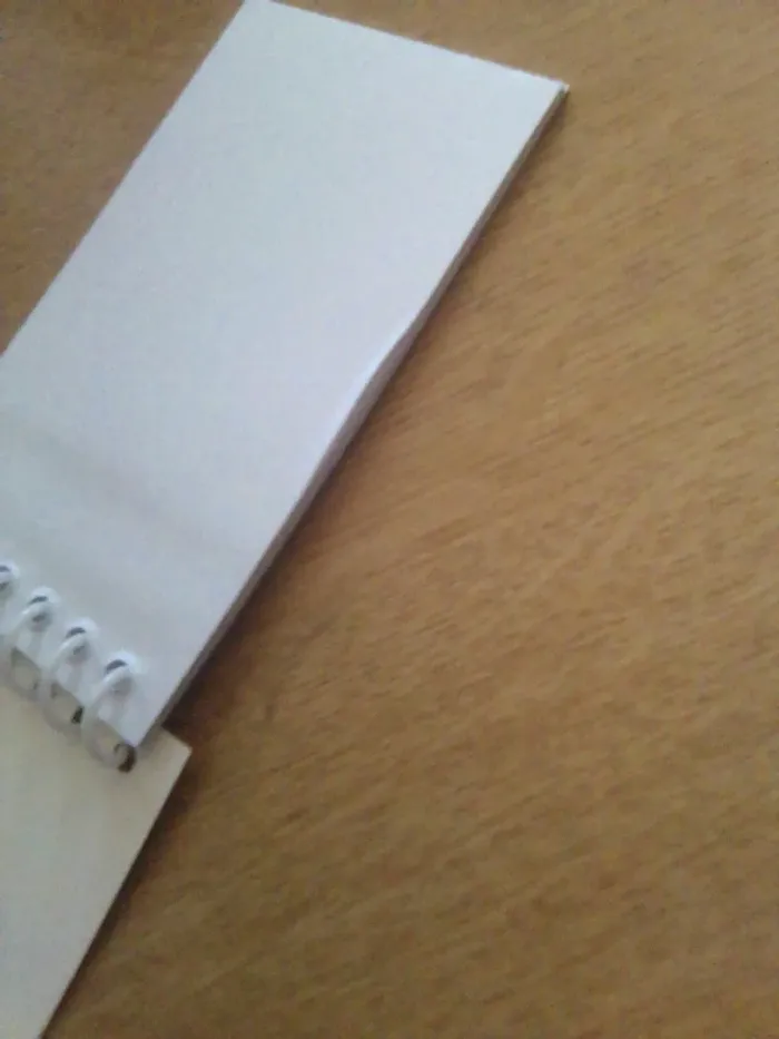 Carnet - photo numéro 3