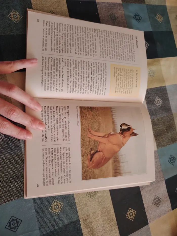 Livre sur le boxer - photo numéro 10