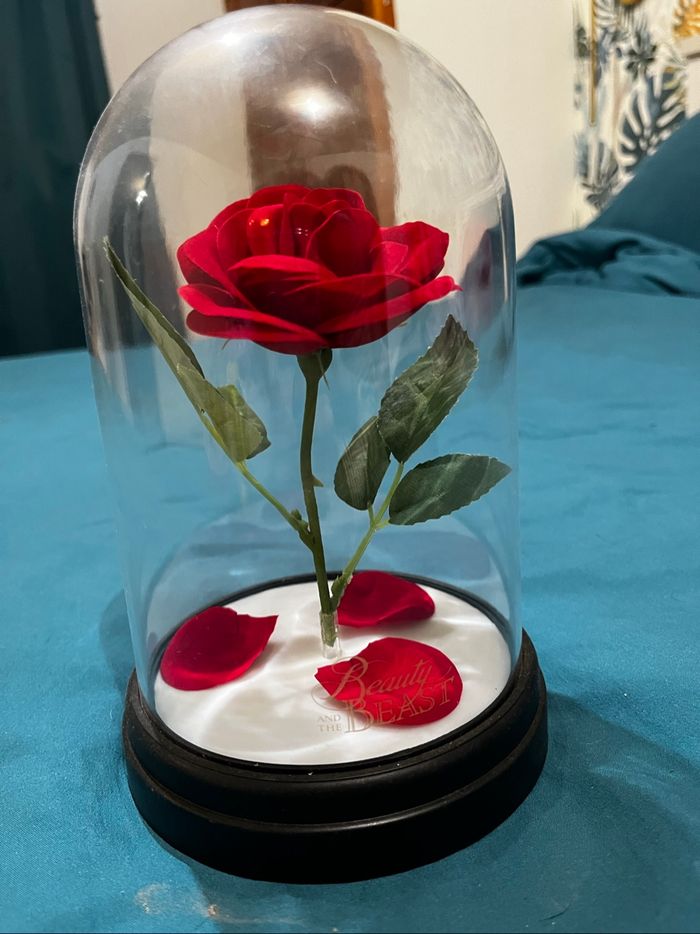 Rose belle et la bête