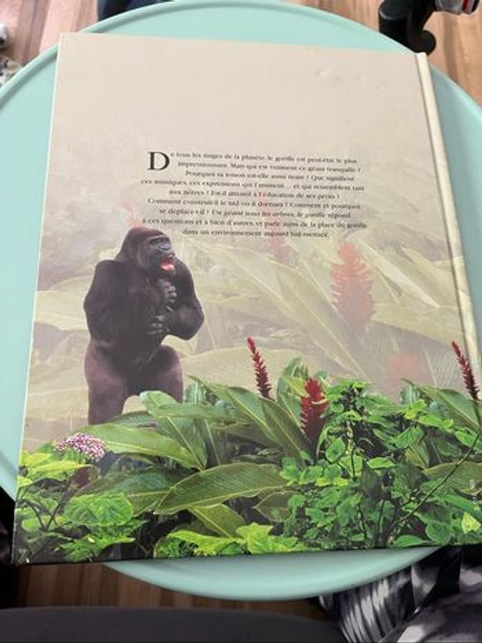Livre un géant sous les arbres, le gorille - photo numéro 2