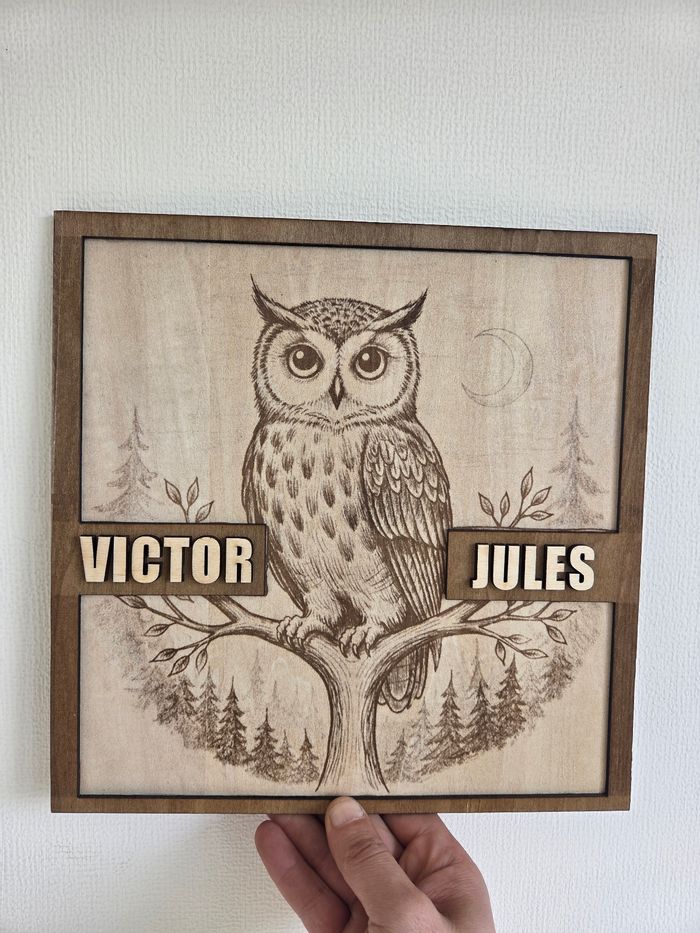 Cadre hibou Personnalisable - photo numéro 4