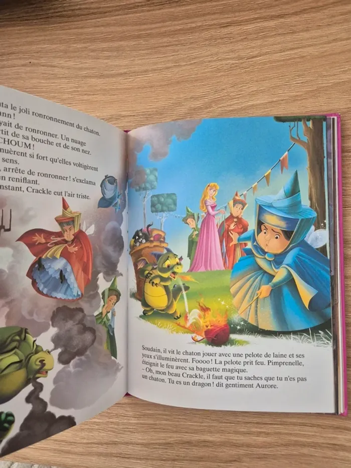 Livre princesses - photo numéro 4