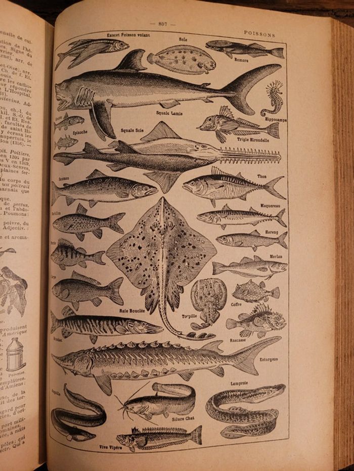 Vends larousse classique illustre 1940 - photo numéro 3