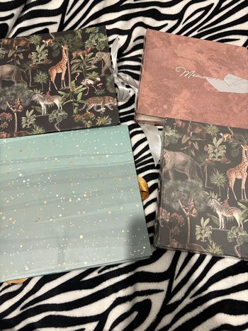 🌿 Lot de 4 albums photo à ruban – neufs 🌿