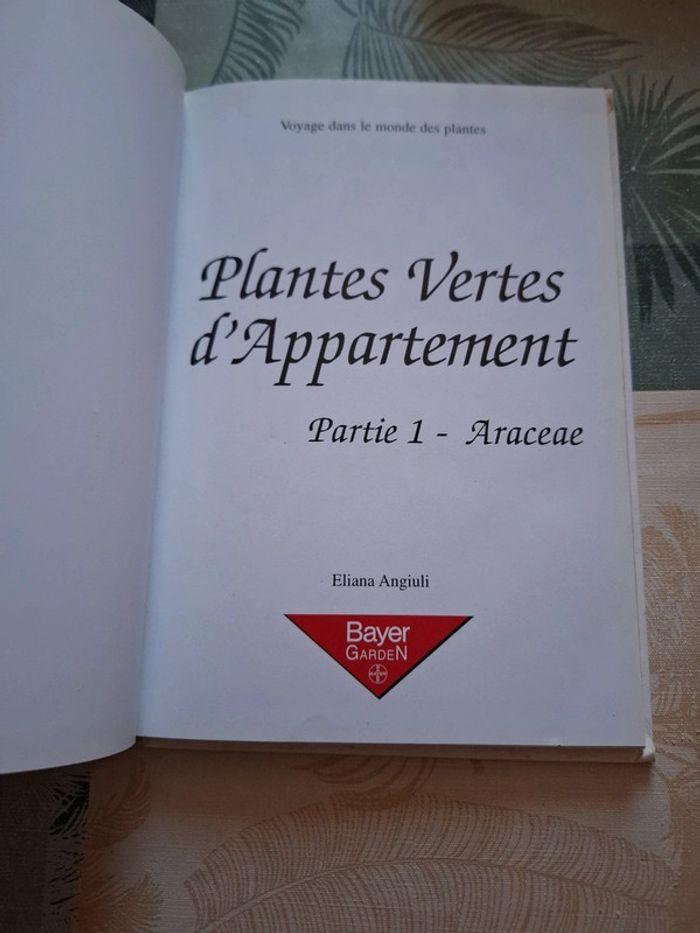 Plantes vertes d'appartement - photo numéro 3