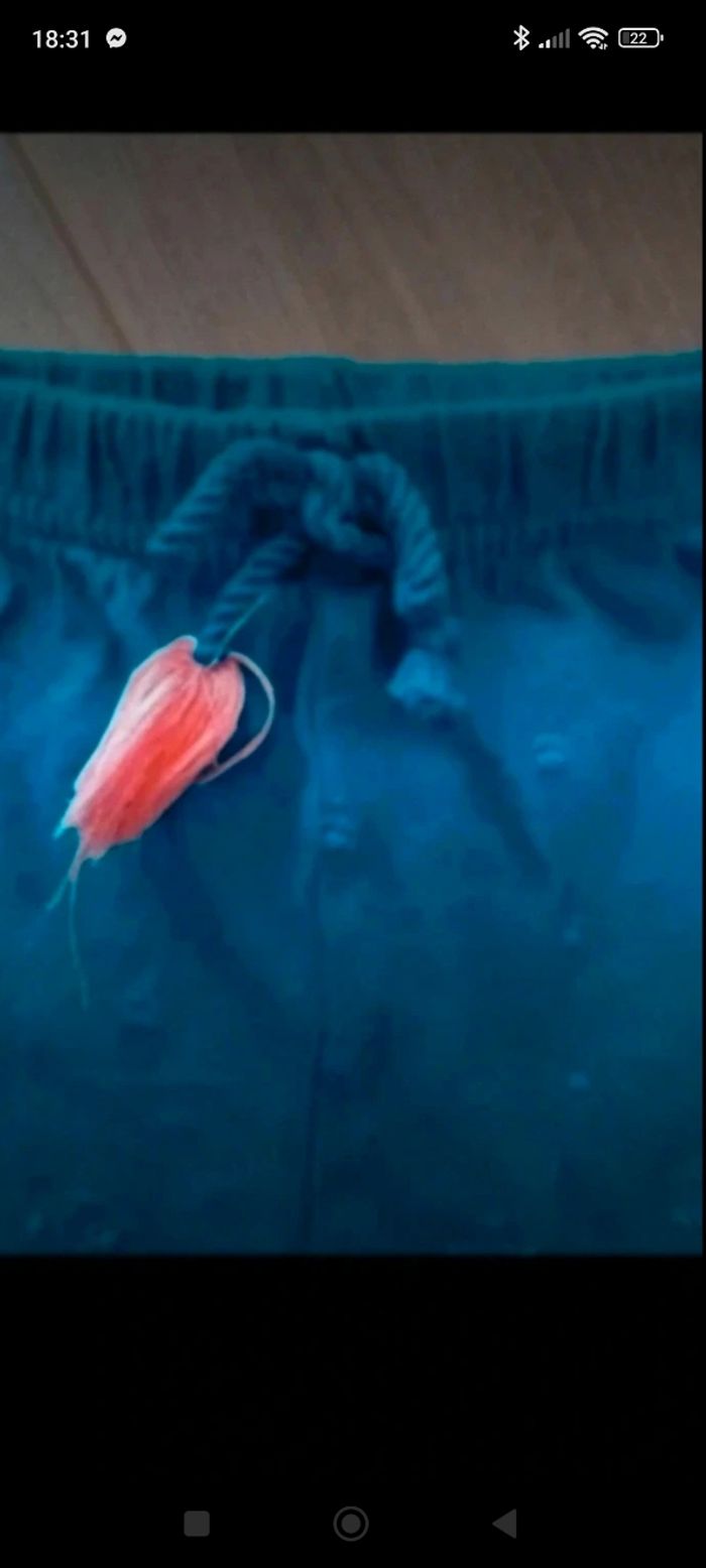 Short 9 mois - photo numéro 3