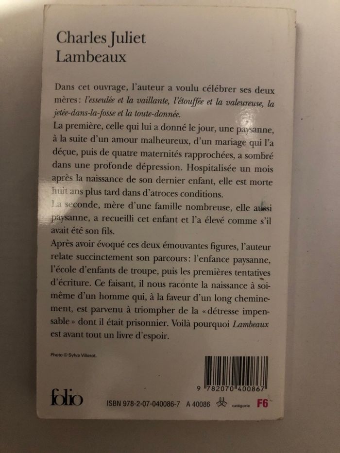 Livre Lambeaux Charles Juliet - photo numéro 2