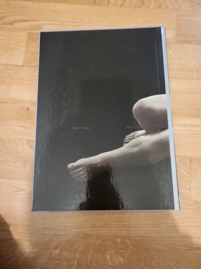 La sculpture l'aventure de la sculpture moderne XIX et XX e siècles - photo numéro 5