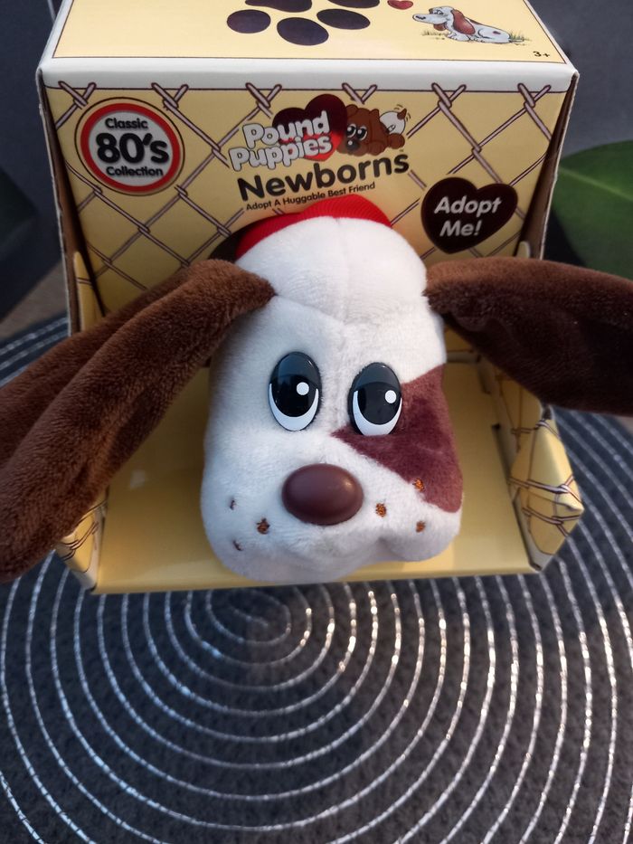 Peluche Pound Puppies Newborns hasbro réédition 2021 
Mesure 16cm - photo numéro 5