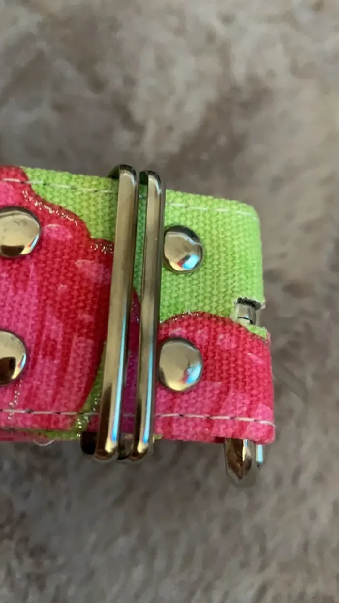 Ceinture neuve - photo numéro 3